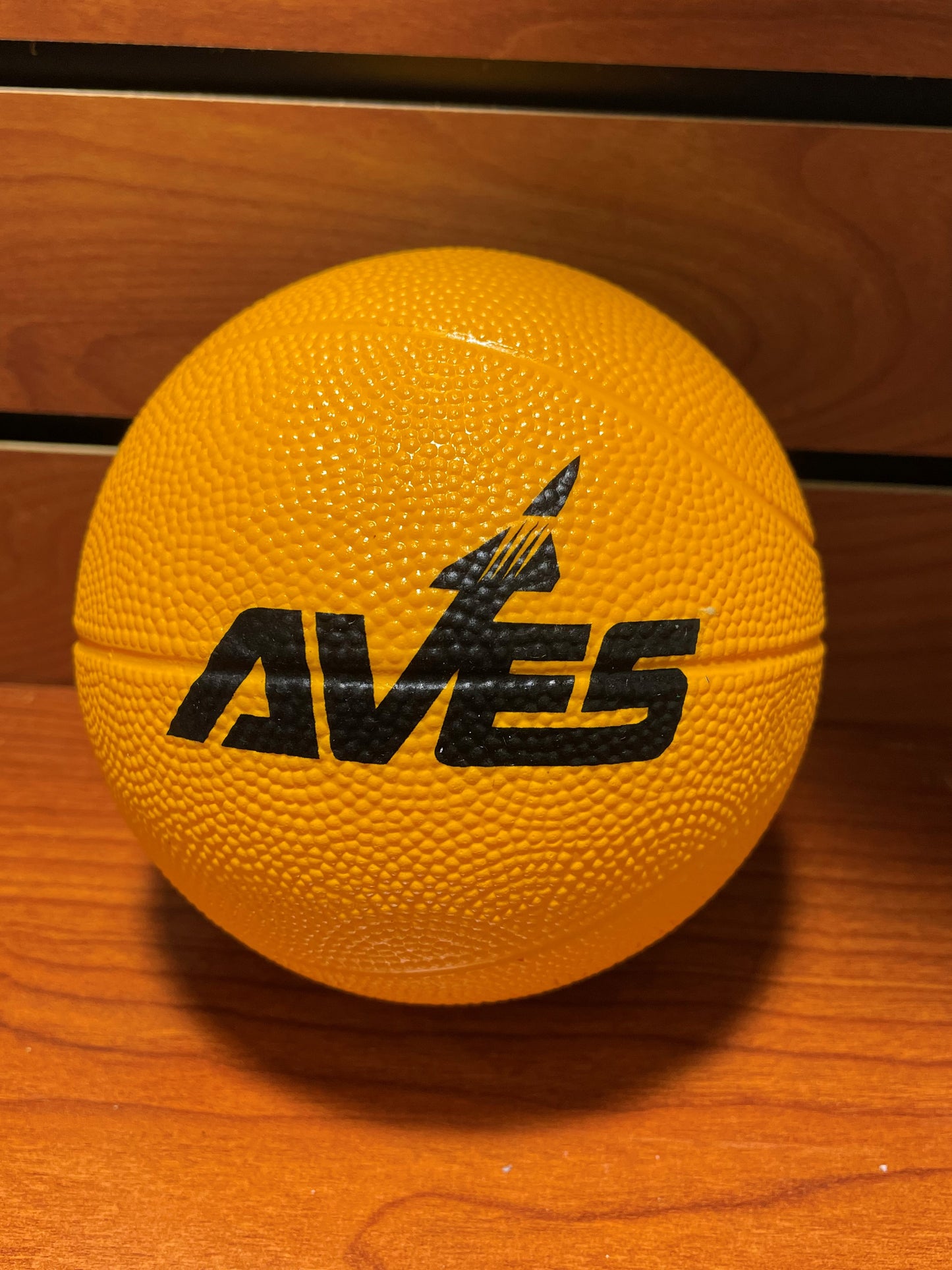 Aves Mini-Basketball 7"