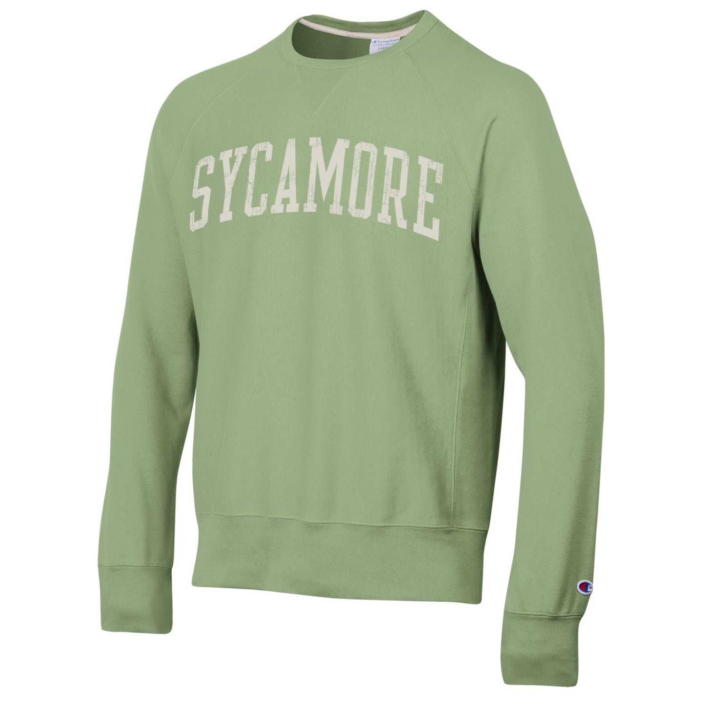 Sweatshirt - Vintage Wash in Basil Green by Champion