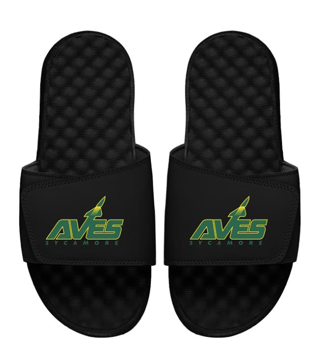 Slides with AVES Logo