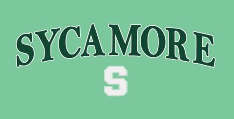 Tee - Hooded Tee - LADIES - Long Sleeve - Slub-Knit in Spearmint