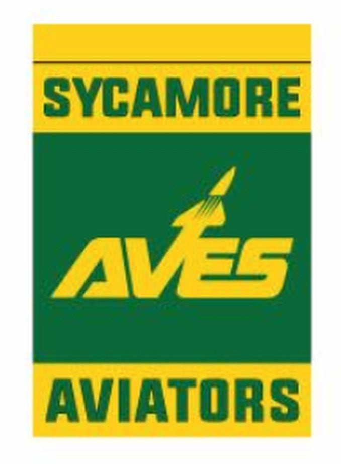 Flag - Flag-Style House Banner 40" x 27"