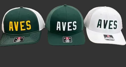 Hat - Trucker - Chain Stitch - AVES - 3 Styles available