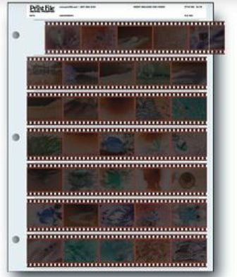 35mm Negative Sleeve